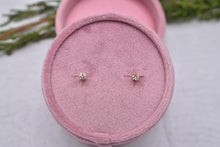 Load image into Gallery viewer, 14K Yellow Gold Round Diamond Push Back Stud Earrings 0.25cts