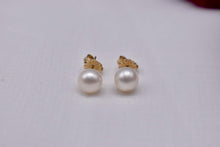 Load image into Gallery viewer, 14K Yellow Gold White Pearl Stud 7mm Pushback Earrings
